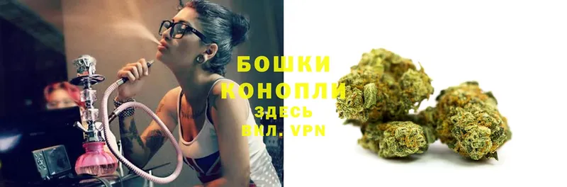 Каннабис LSD WEED  продажа наркотиков  Дигора 